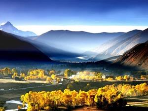 **电网跨境电商平台上线运营首度登陆迪拜