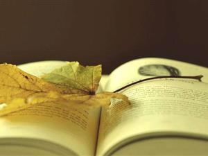 读完这些，你就可以决定是否创业，成为一个跨境电子商务平台。