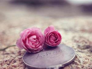 【什么跨境电商】什么是跨境电子商务