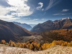 如何进行跨境电子商务？这些卖家的问题