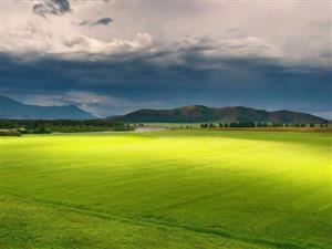 北涛电子商务加入有好处吗？市场前景看好