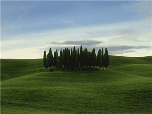 Cinema4d |电子商务海报和电子商务建模软件