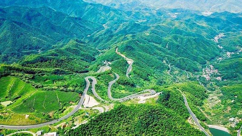 跨境电子商务：跨境电子商务发展的共同特征