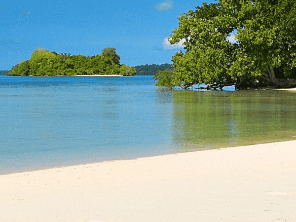 小程序电子商务与淘宝电子商务的比较