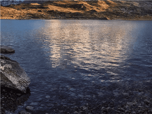 Swift GPI处理超过200万条信息，成为跨境支付的新标准