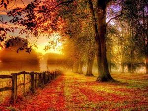 资本渗透、跨境电商未来将呈现三大趋势……