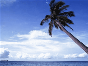 走进海外，前海打造跨境o2o支付解决方案