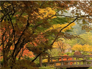 区块链技术在跨境支付中的应用路径