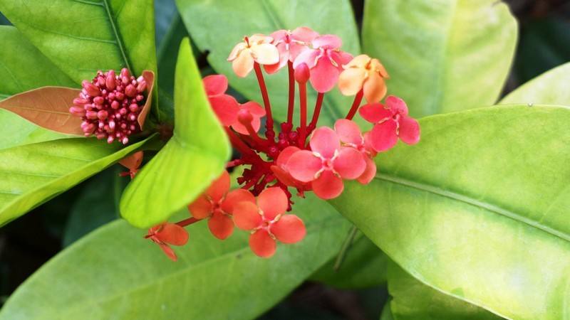 如果你想拓展跨境电子商务业务，你需要看看这个！