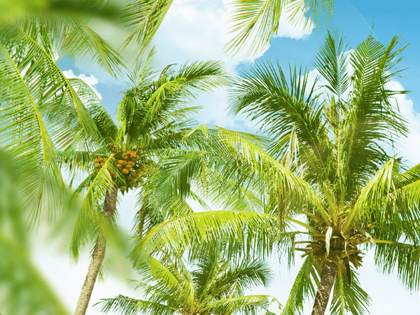 人民币跨境支付系统（二期）投产试运行，有序推进未来资本项目开放