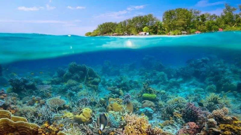 现在流行的跨境电商新玩法,亚马逊能否在无货源模式下成为新手? 现在流行的跨境电商新玩法,亚马逊能否在无货源模式下成为新手?
