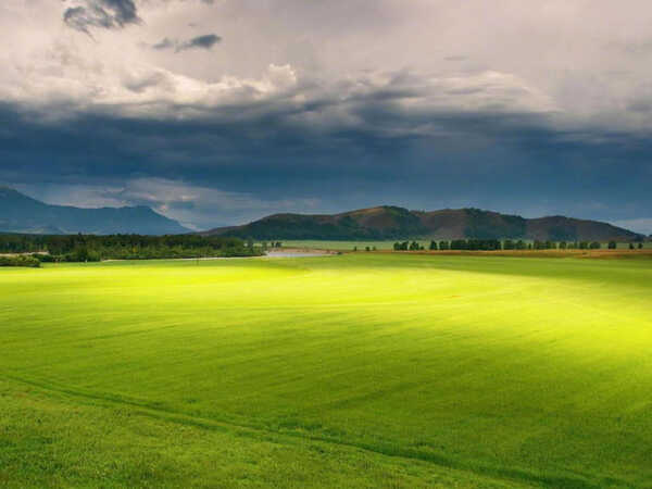 互联网移动电子商务发展趋势报告分享（原件）