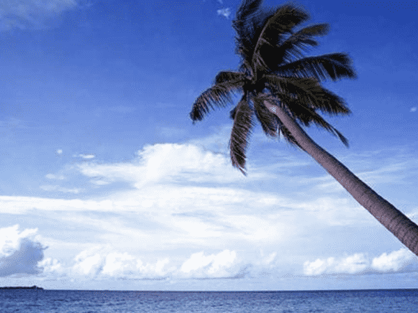 化妆品销售商进入非洲跨境电子商务的新机遇是什么？