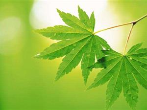 扩大和调整跨境电子商务进口积极清单