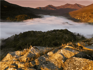 【跨境电商国内商品】跨境电商进口品牌直接供应中国