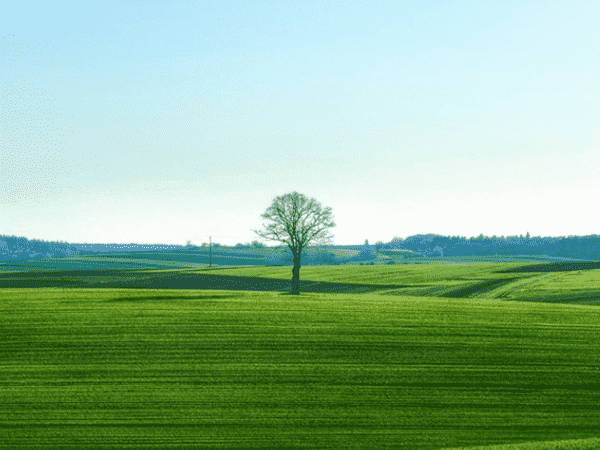 【跨境并购】中国TMT领域十大跨国并购