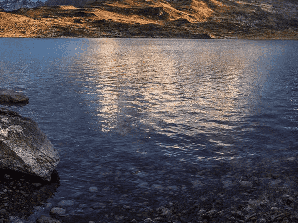【金华市跨境电商】永康跨境电商瞄准海外购物车