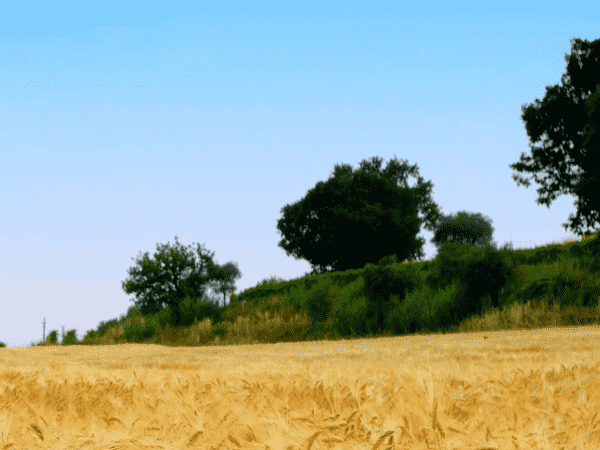 摆脱工业设备贸易的“绊脚石”，跨境电子商务“托拉斯”获得了1240万美元的前期融资