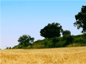 摆脱工业设备贸易的“绊脚石”，跨境电子商务“托拉斯”获得了1240万美元的前期融资