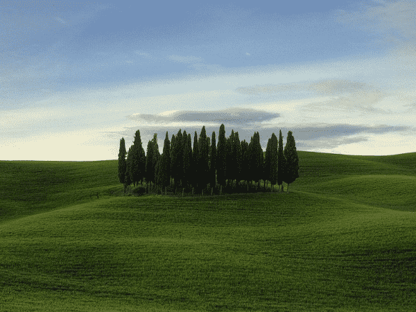 [你是否参与过跨境电子商务？有人让天猫被射杀了