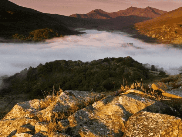 家具企业做跨境电子商务？-创富网