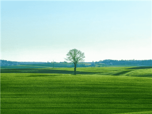 我们能在跨境电子商务平台上销售口罩吗！亚马逊想卖口罩吗？