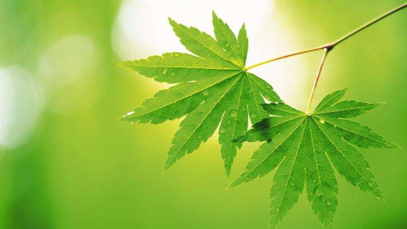 跨境电子商务必备的翻译软件！快收起来！