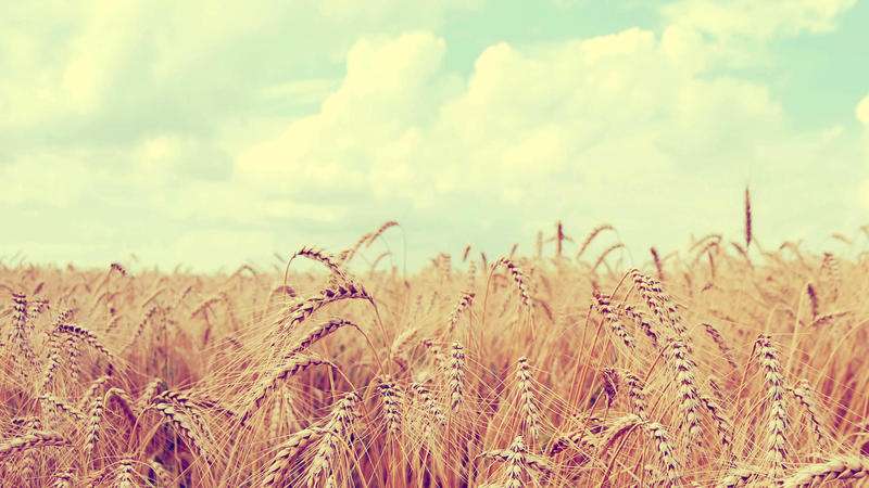 跨境电子商务如何在5G浪潮中前行？