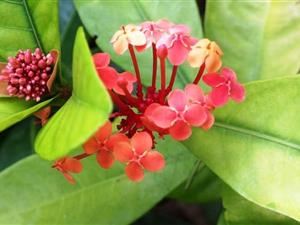 【跨境电商产品说明】烟台跨境电商利基产品新思路