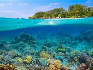 你厌倦玩双11了吗？一张广州跨境电子商务地图显示，国外大型商品供应商晓彤正在参观地铁。