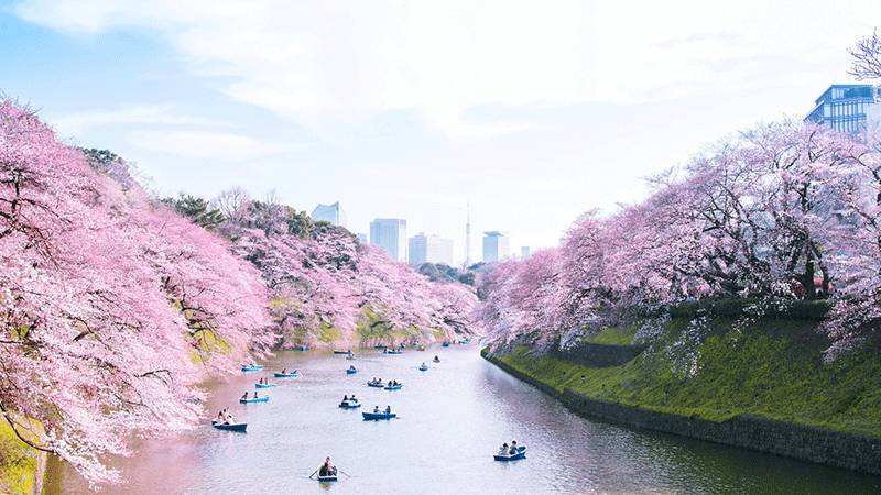 国务院大力推进跨境电子商务发展政策国内电子商务面临新机遇 国务院大力推进跨境电子商务发展政策国内电子商务面临新机遇