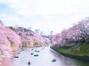 关门，关门，欠钱，跑…跨境电子商务企业如何避免“丑闻”？