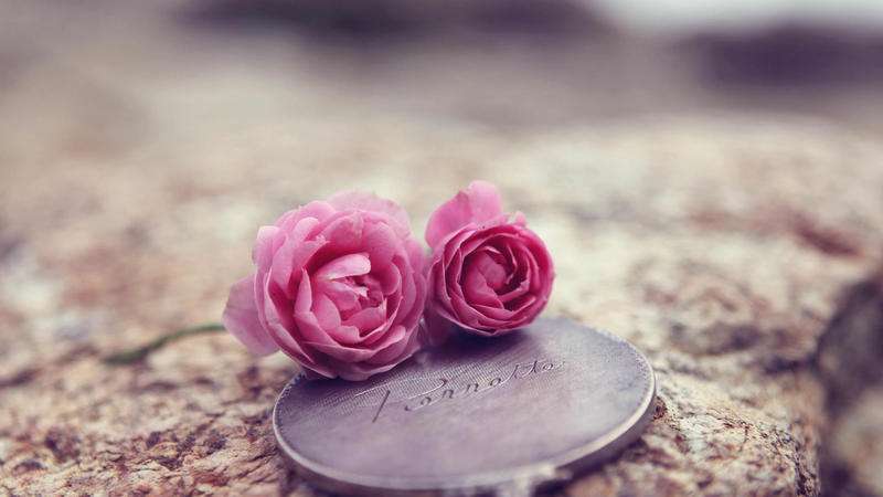 跨境电商进入精通，新手卖家应先看本文