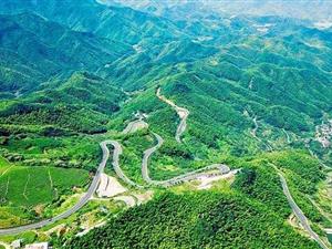 【中国出口跨境电商】中国品牌出海助力跨境电子商务