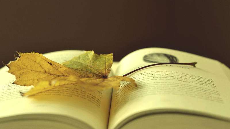 干货来了！新手不知道怎么做跨境电子商务？保重这个跨境电商宝藏！