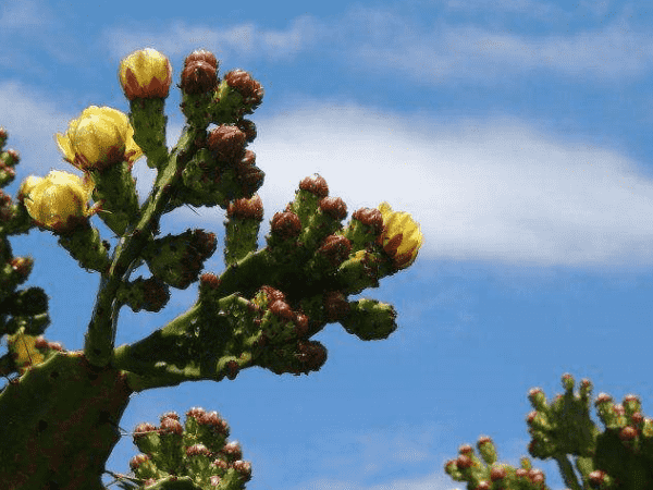 中国服装业跨境电子商务发展如何？