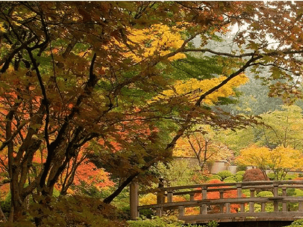 跨境电商独立站卖家将如何突围？