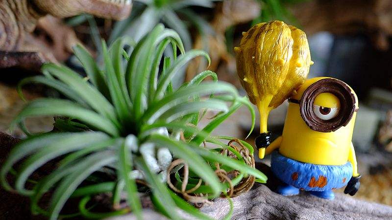 电子商务滚动新闻除了尿布跨境电子商务还有什么玩法？