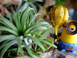 你对四类农产品电子商务平台了解多少？