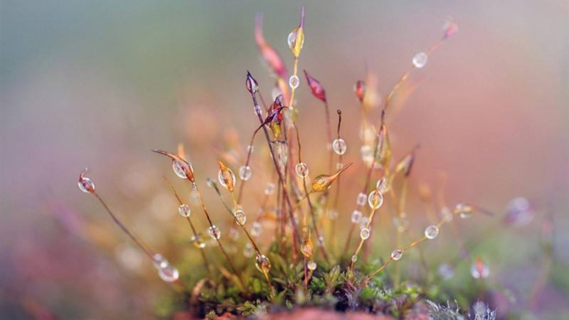 乐于做跨境电子商务，形成跨行业利益链