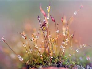 乐于做跨境电子商务，形成跨行业利益链