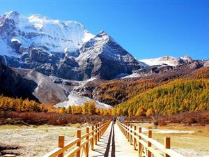 东南亚跨境电子商务市场分析，新手更适合