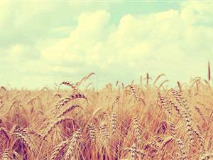 未来财经跨境电子商务“服务为王”