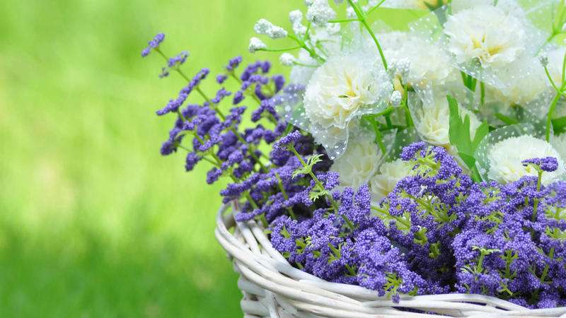 【跨境电商用户】是跨境电商抢用户？