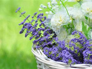 【跨境电商用户】是跨境电商抢用户？