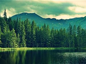 贝宝跨境购物报告，对电子商务卖家的四个影响