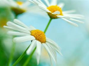 从萨拉莫尔的收购看跨境电商的巨大机遇