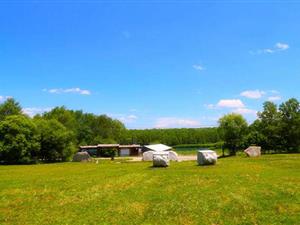 【跨境电商如何扩展】跨境电商如何止损？